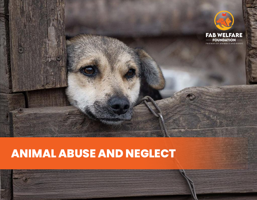 FAB-blog-cover--Animal-Abuse-and-Neglect